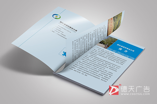 常德市德天廣告有限公司,品牌設(shè)計(jì),活動策劃,影視攝制,廣告設(shè)備租賃,媒體廣告推廣,